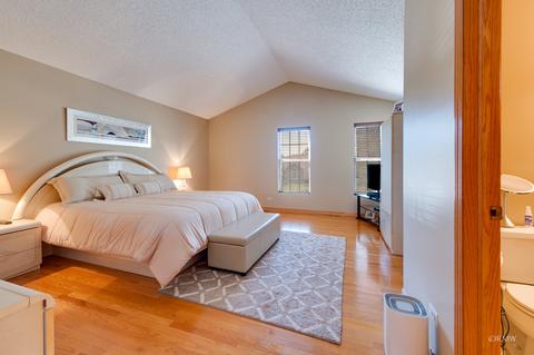 1011 Trillium Ln, Bartlett, IL 60103 photo 23