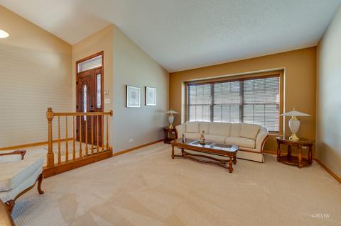 1011 Trillium Ln, Bartlett, IL 60103 photo 9