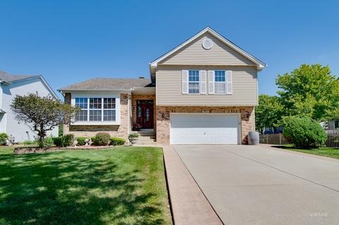 1011 Trillium Ln, Bartlett, IL 60103 photo 1