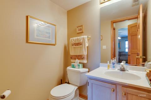 1011 Trillium Ln, Bartlett, IL 60103 photo 17