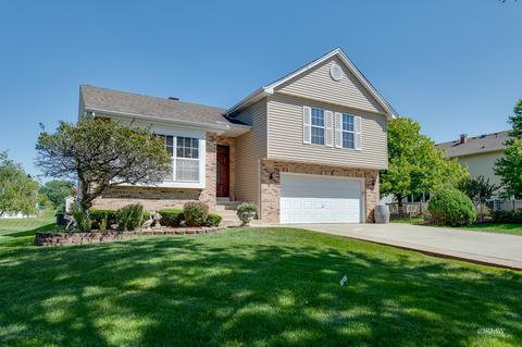 1011 Trillium Ln, Bartlett, IL 60103 photo 2