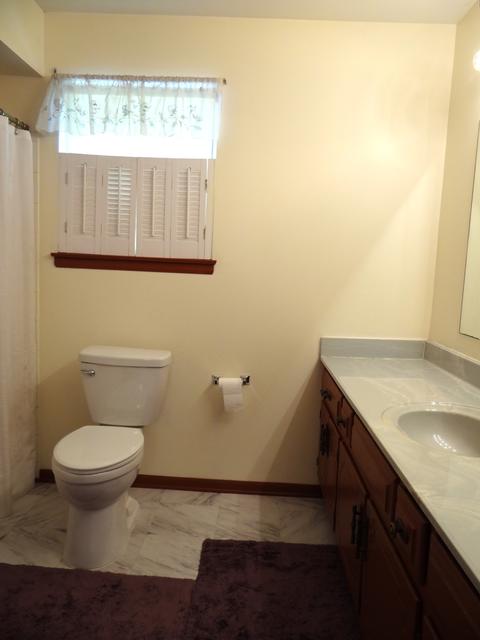 440 Regency Ct, Aurora, IL 60504 photo 10