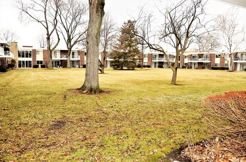 100 Deborah Ln #A7, Wheeling, IL 60090 photo 17