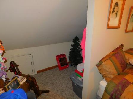 602 E Locust St, Chatsworth, IL 60921 photo 25