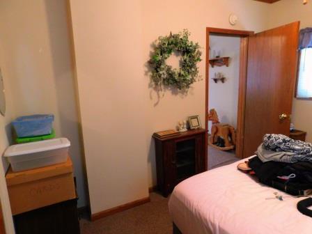 602 E Locust St, Chatsworth, IL 60921 photo 17