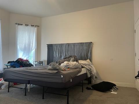 2902 E 77th St, Chicago, IL 60649 photo 39