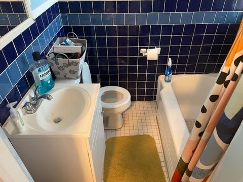 2902 E 77th St, Chicago, IL 60649 photo 15