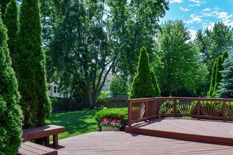 335 Wildberry Ln, Bartlett, IL 60103 photo 21