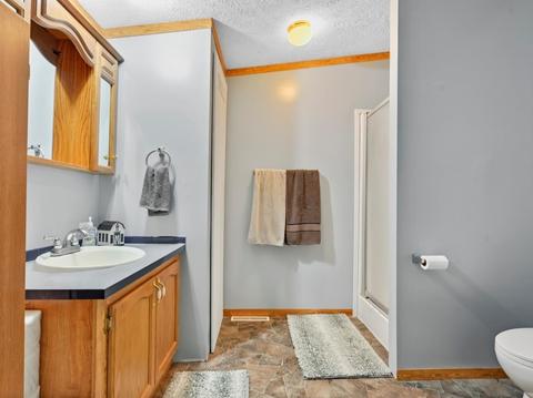 101 E Meade St, White Heath, IL 61884 photo 13