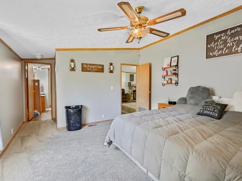 101 E Meade St, White Heath, IL 61884 photo 12