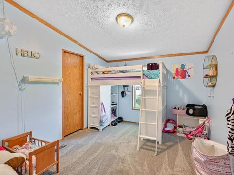101 E Meade St, White Heath, IL 61884 photo 19