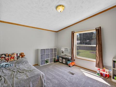 101 E Meade St, White Heath, IL 61884 photo 17