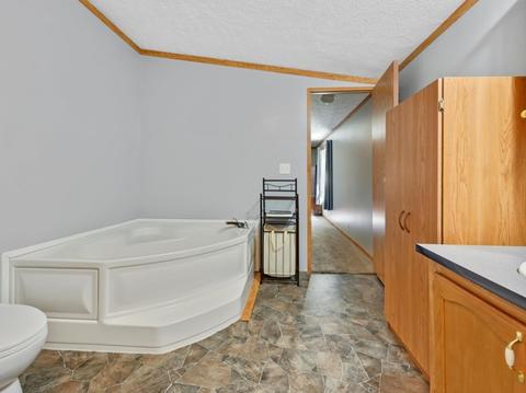101 E Meade St, White Heath, IL 61884 photo 14