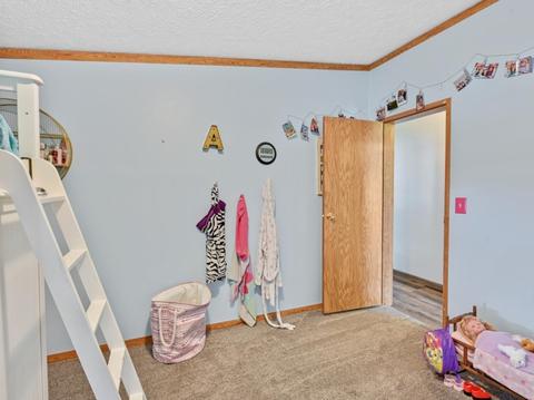 101 E Meade St, White Heath, IL 61884 photo 20