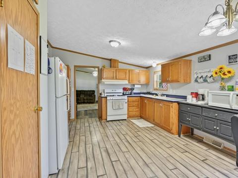 101 E Meade St, White Heath, IL 61884 photo 8
