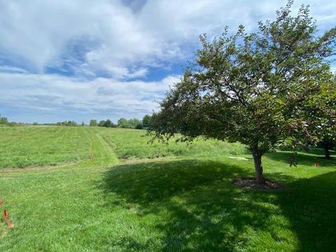 677 E Willow St, Elburn, IL 60119 photo 31