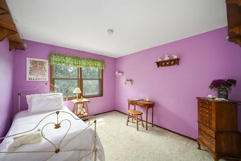 1820 Jasper Ct, Wheaton, IL 60189 photo 24