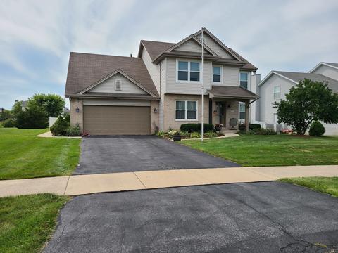 25702 S Violet Ln, Monee, IL 60449 photo 1