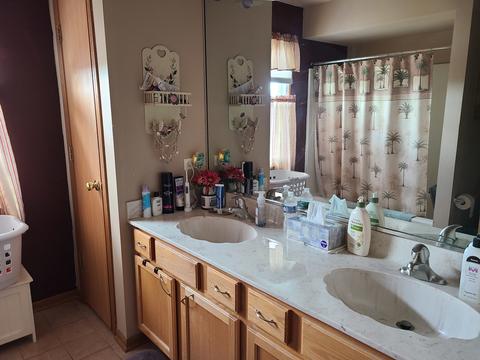 25702 S Violet Ln, Monee, IL 60449 photo 22