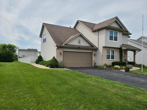 25702 S Violet Ln, Monee, IL 60449 photo 2