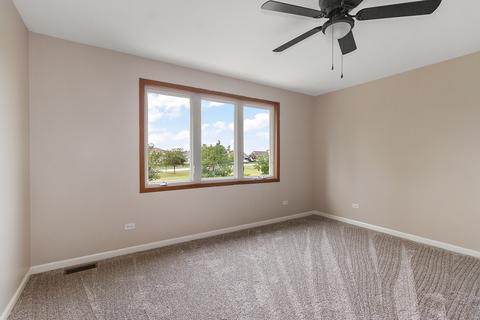 279 Mallards Cv, Beecher, IL 60401 photo 12