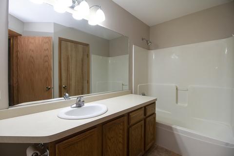 279 Mallards Cv, Beecher, IL 60401 photo 10
