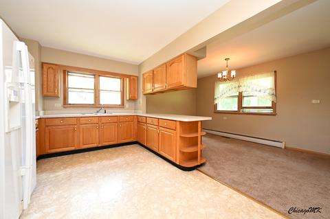 119 W North St, Itasca, IL 60143 photo 21