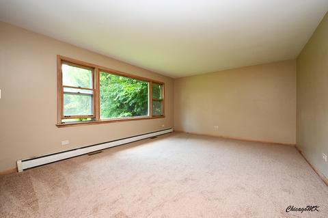 119 W North St, Itasca, IL 60143 photo 13