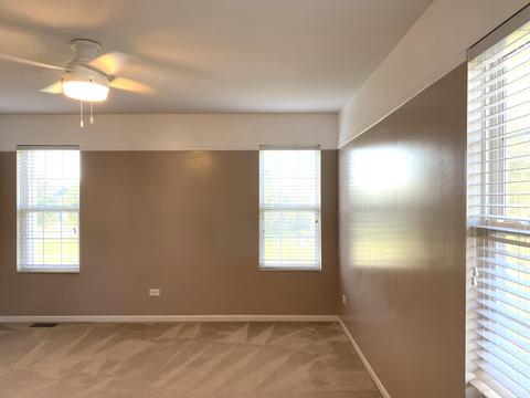 5015 Corning Ct, Plainfield, IL 60586 photo 13
