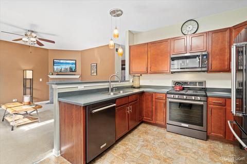 207 Garden Dr, Elgin, IL 60124 photo 9