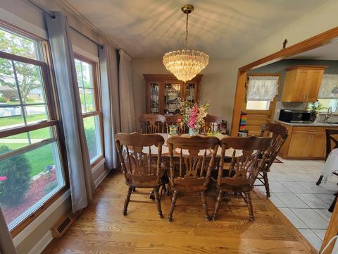 171 Lance Dr, Des Plaines, IL 60016 photo 11
