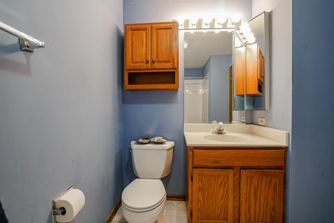 860 Roaring Brook Ln, Algonquin, IL 60102 photo 22