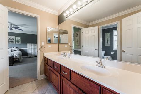 1016 Auburn Ln, Bartlett, IL 60103 photo 27