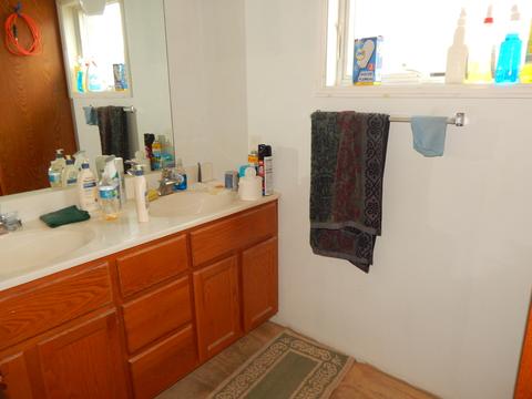 3020 Ruby St, Franklin Park, IL 60131 photo 9