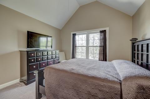 12533 Wingstem St, Plainfield, IL 60585 photo 32