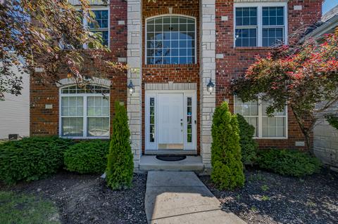 12533 Wingstem St, Plainfield, IL 60585 photo 2