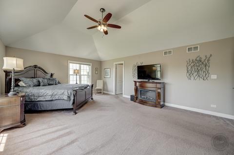 12533 Wingstem St, Plainfield, IL 60585 photo 21
