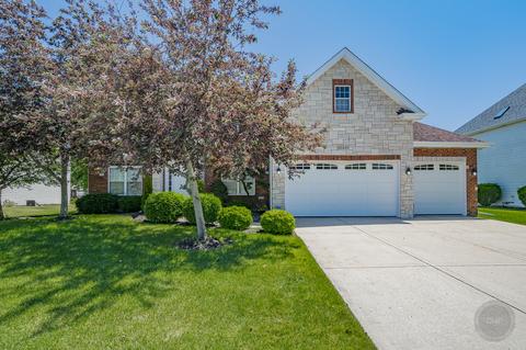 12533 Wingstem St, Plainfield, IL 60585 photo 1