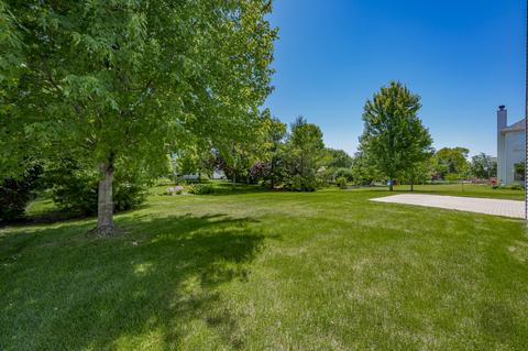 12533 Wingstem St, Plainfield, IL 60585 photo 37
