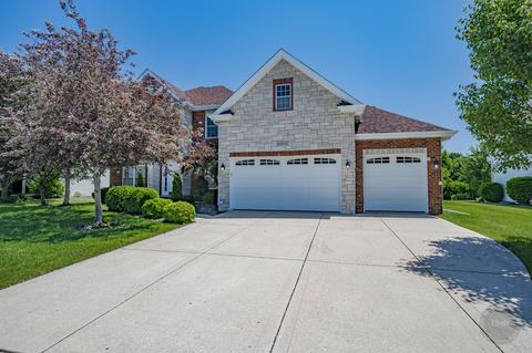 12533 Wingstem St, Plainfield, IL 60585 photo 3