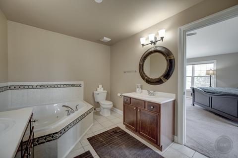 12533 Wingstem St, Plainfield, IL 60585 photo 23