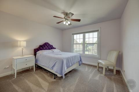 12533 Wingstem St, Plainfield, IL 60585 photo 30