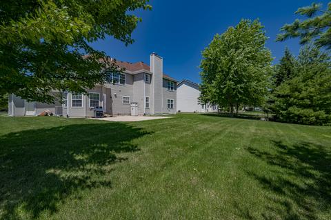 12533 Wingstem St, Plainfield, IL 60585 photo 36