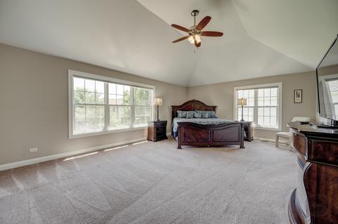 12533 Wingstem St, Plainfield, IL 60585 photo 20