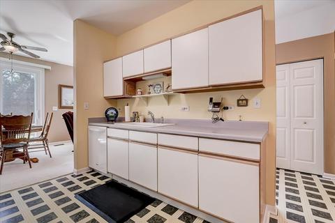 291 Grandview Ct, Algonquin, IL 60102 photo 10