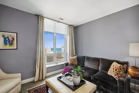 10 E Delaware Pl #31E, Chicago, IL 60611 photo 17