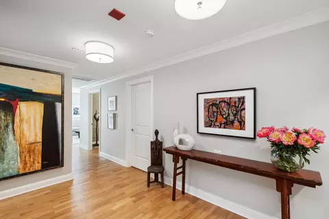 10 E Delaware Pl #31E, Chicago, IL 60611 photo 2