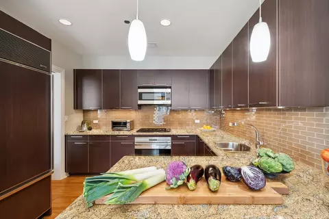 10 E Delaware Pl #31E, Chicago, IL 60611 photo 9