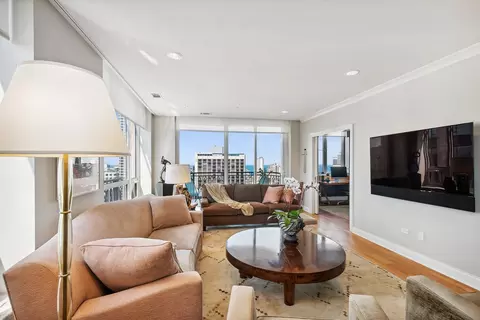 10 E Delaware Pl #31E, Chicago, IL 60611 photo 5