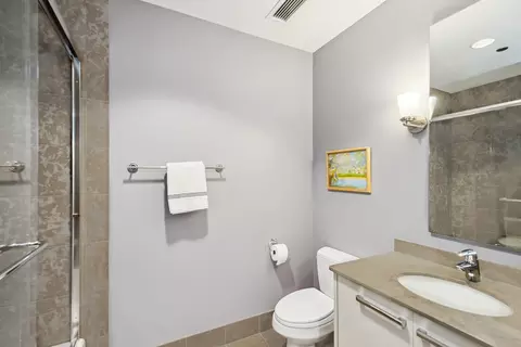 10 E Delaware Pl #31E, Chicago, IL 60611 photo 18